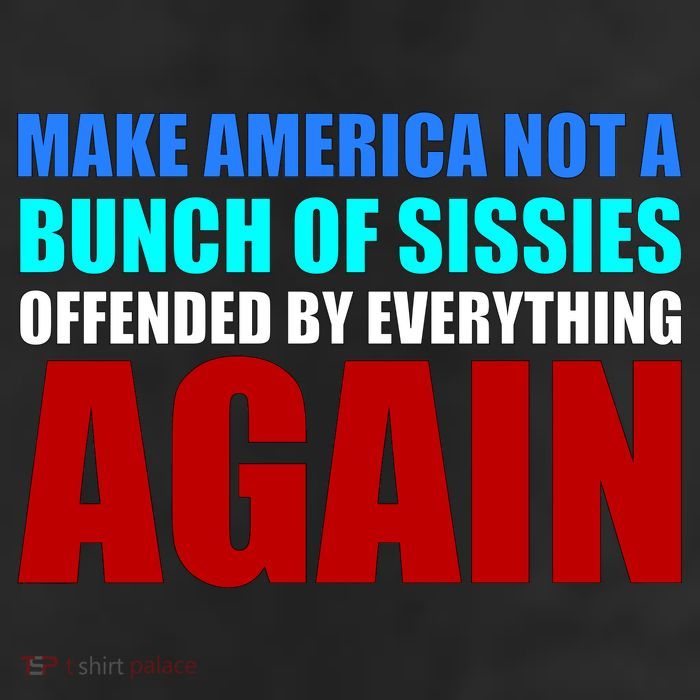 Make America Not A Bunch Of Sissies 11oz C Handle Ceramic Mug