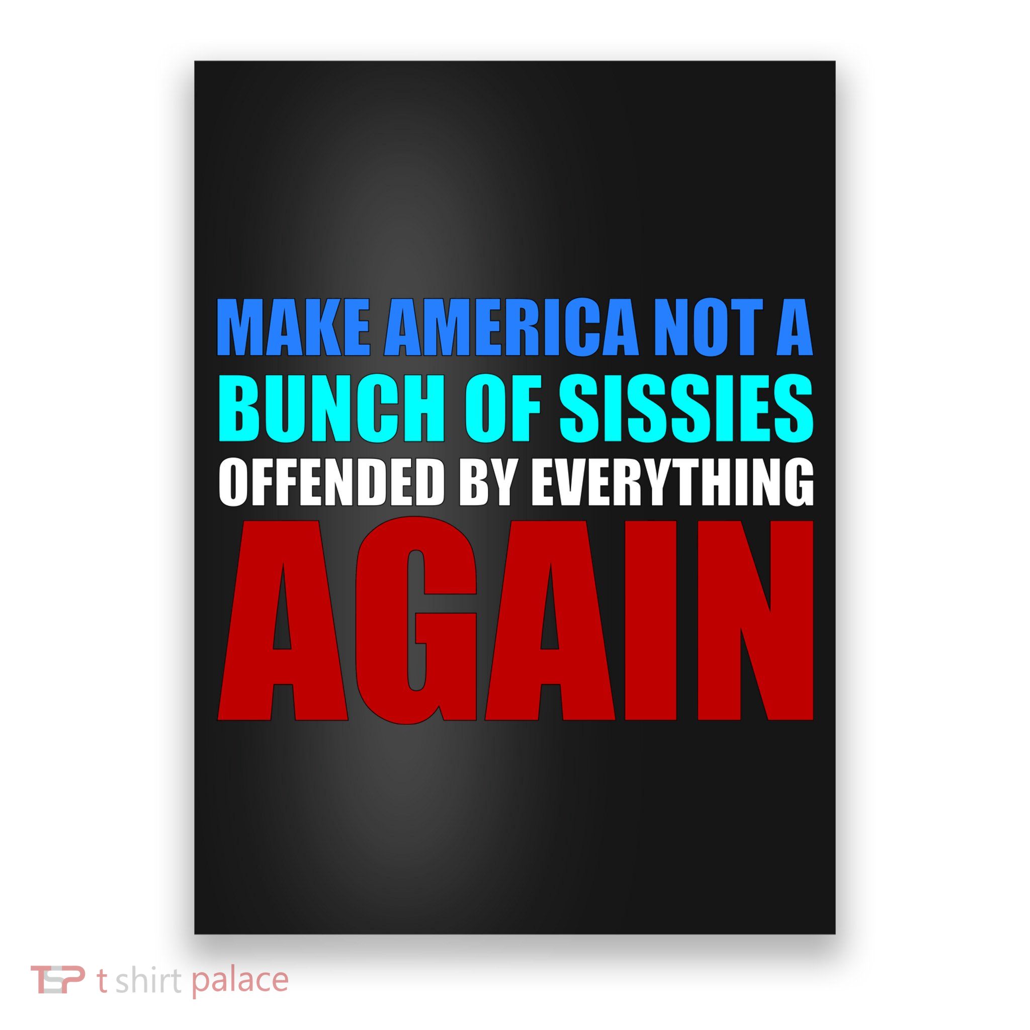 Make America Not A Bunch Of Sissies Poster