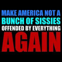 Make America Not A Bunch Of Sissies Toddler T-Shirt