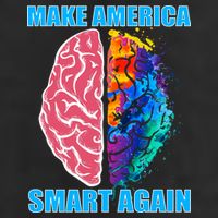 Make America Smart Again Adult Drive Performance Visor