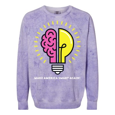 Make America Smart Again Science Brain Colorblast Crewneck Sweatshirt