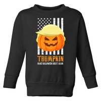 Make Halloween Great Again Trumpkin USA Flag Toddler Sweatshirt