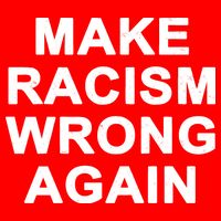 Make Racism Wrong Again Apron