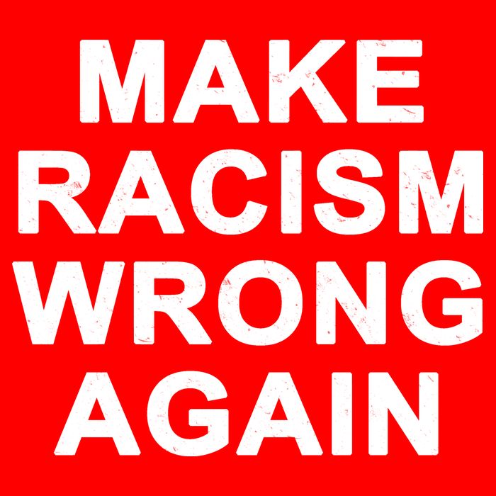 Make Racism Wrong Again Apron