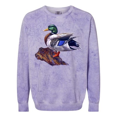 Mallard Green Head Duck Colorblast Crewneck Sweatshirt