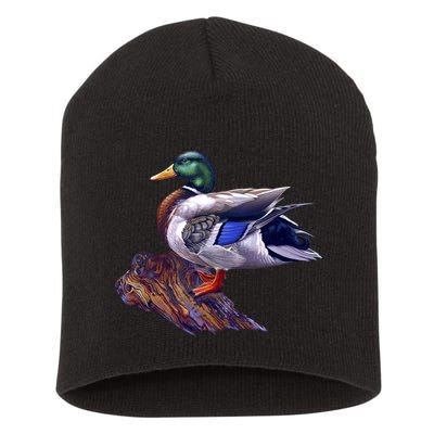 Mallard Green Head Duck Short Acrylic Beanie