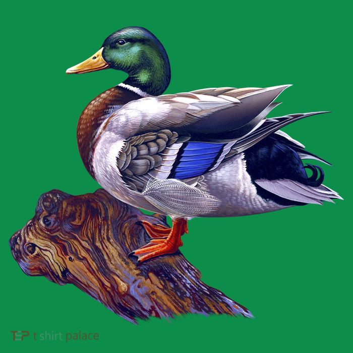 Mallard Green Head Duck T-Shirt