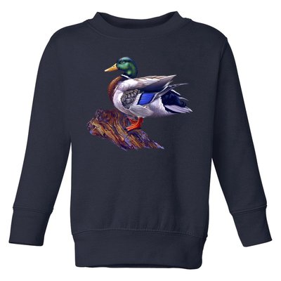 Mallard Green Head Duck Toddler Sweatshirt