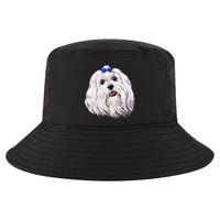 Maltese Cool Comfort Performance Bucket Hat