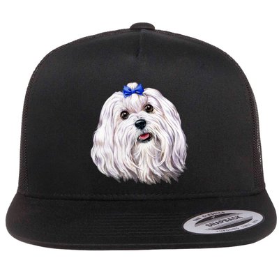 Maltese Flatbill Hat
