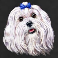 Maltese Golf Towel