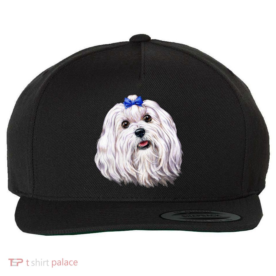 Maltese Wool Snapback Cap