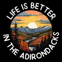 Moose Adirondack Mountains Life Is Better In The Adirondacks 7-Panel Snapback Hat