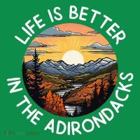 Moose Adirondack Mountains Life Is Better In The Adirondacks Button