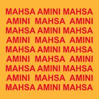 Mahsa Amini Pom Pom 12in Knit Beanie