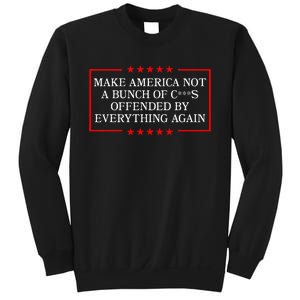 Make America Not A Bunch Offended By Everything Again 2024 Sweatshirt