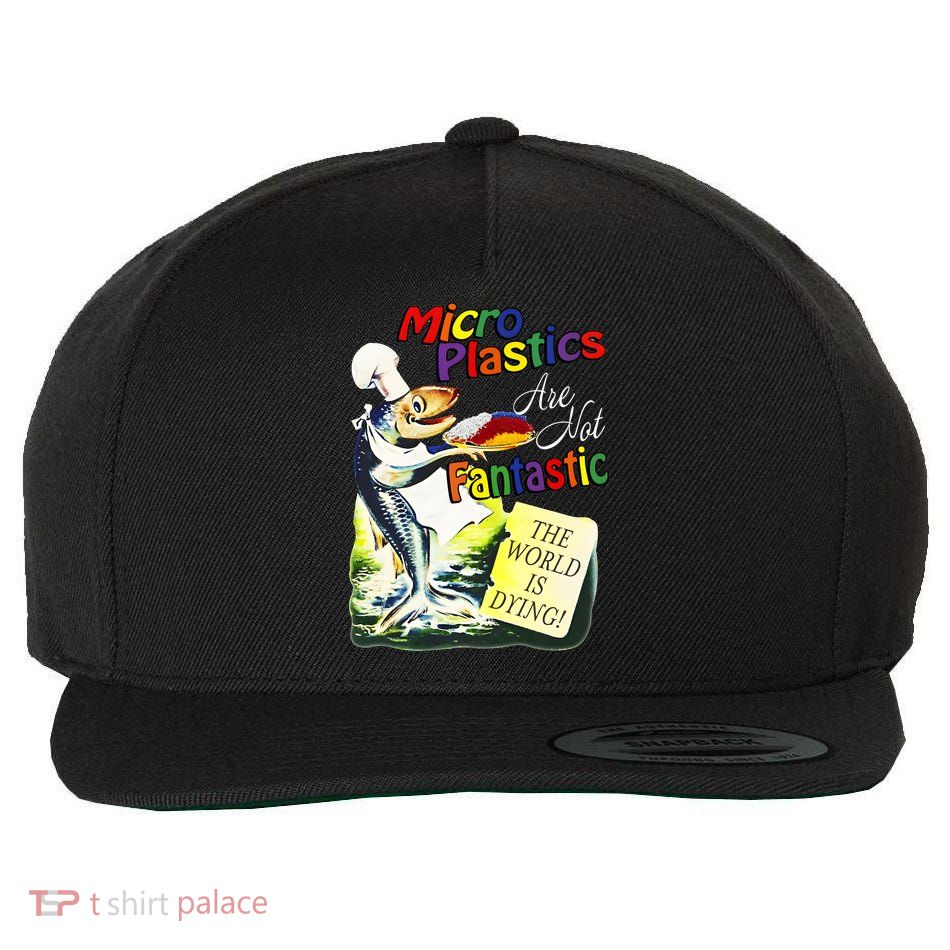 Microplastics Are Not Fantastic The World Is Dring Wool Snapback Cap