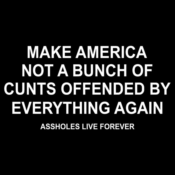 Make America Not A Bunch Of Cunts Offended By Everything Again T-Shirt