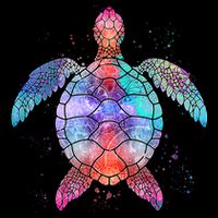Mandala Sea Turtle Hoodie
