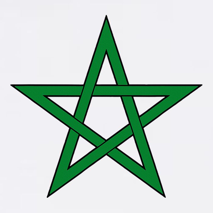 Moorish American Proud Moors Moorish Moroccan Flag Amexem Button