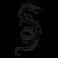Martial Arts Red Chinese Firedrake Dragon Print Art Cooling Performance Crew T-Shirt