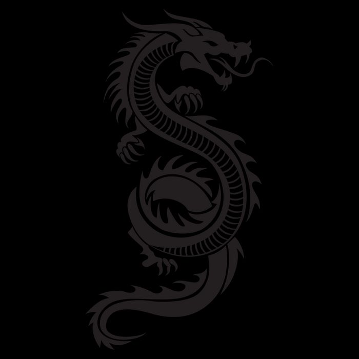 Martial Arts Red Chinese Firedrake Dragon Print Art Cooling Performance Crew T-Shirt