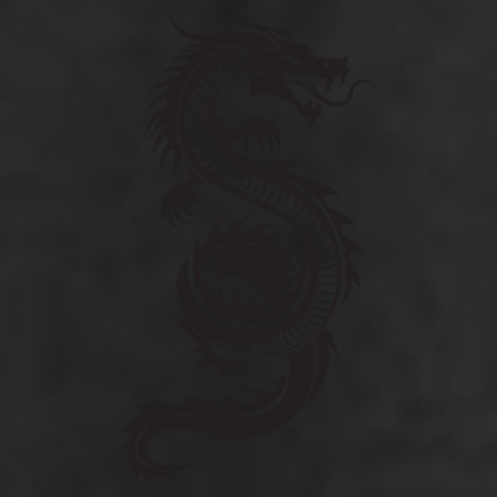 Martial Arts Red Chinese Firedrake Dragon Print Art Hat