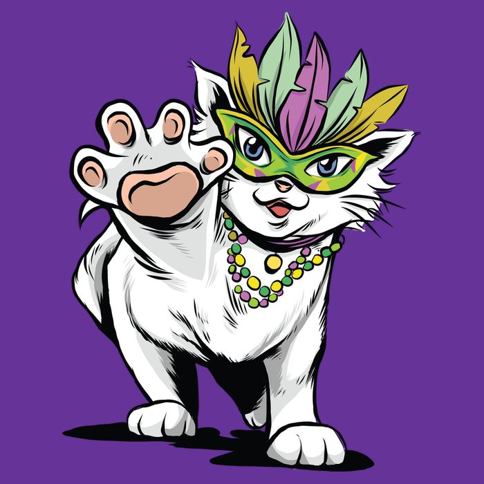 Mardi Gras Cat Kids T-Shirt