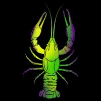 Mardi Gras Crawfish 16 in Basic Backpack