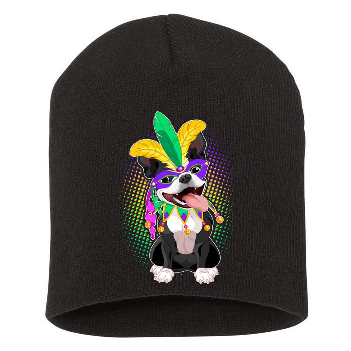 Mardi Gras Party Dog Short Acrylic Beanie