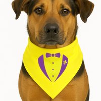 Mardi Gras Party Tuxedo USA-Made Doggie Bandana