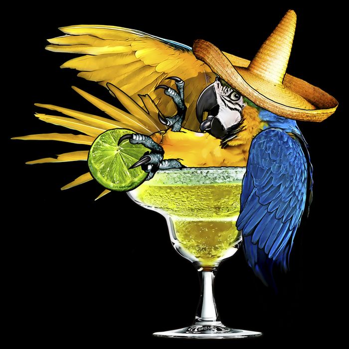 Margarita Parrot Cooling Performance Crew T-Shirt