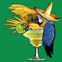 Margarita Parrot Toddler Hoodie