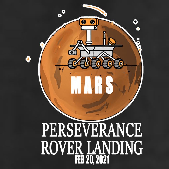 Mars Rover Landing Perseverance Premium Pullover Hoodie