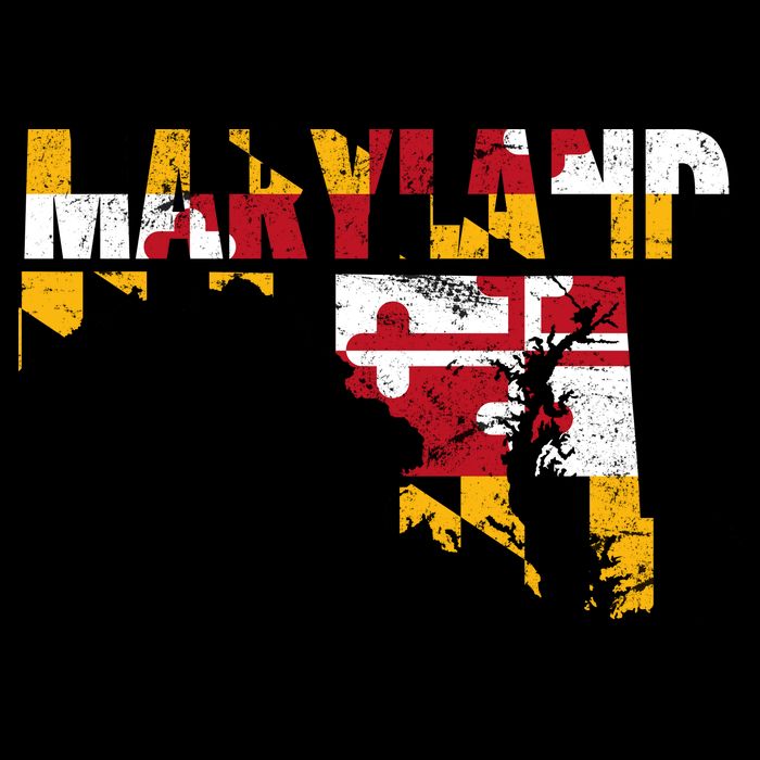 Maryland State Flag Button