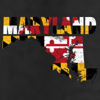 Maryland State Flag Hat