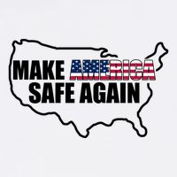 Make America Safe Again Flag Premium T-Shirt