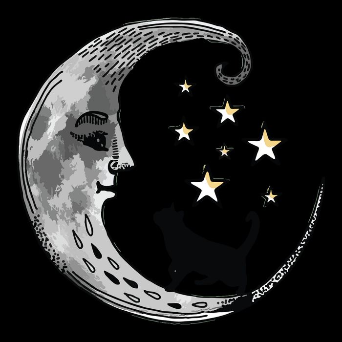 Moon And Stars With Black Cat City Backpack