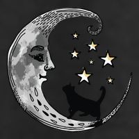 Moon And Stars With Black Cat Golf Towel