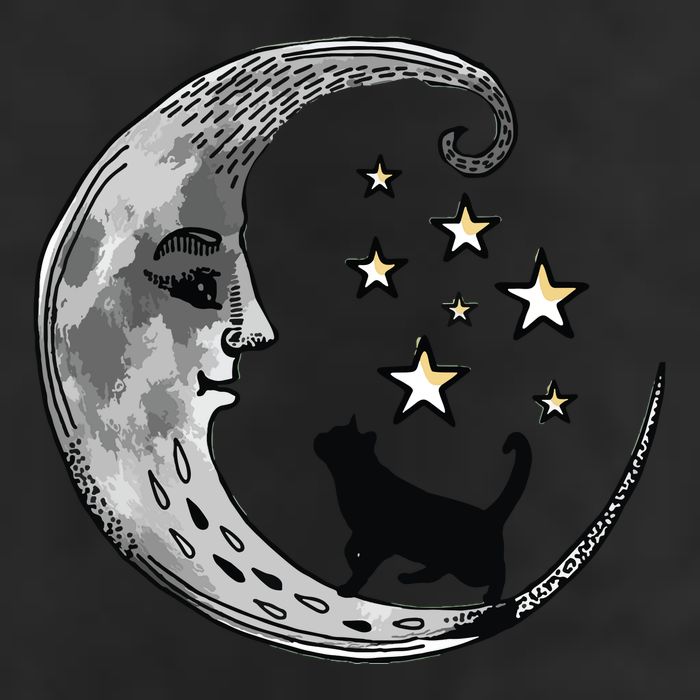 Moon And Stars With Black Cat Golf Towel