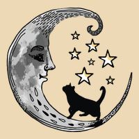 Moon And Stars With Black Cat Apron