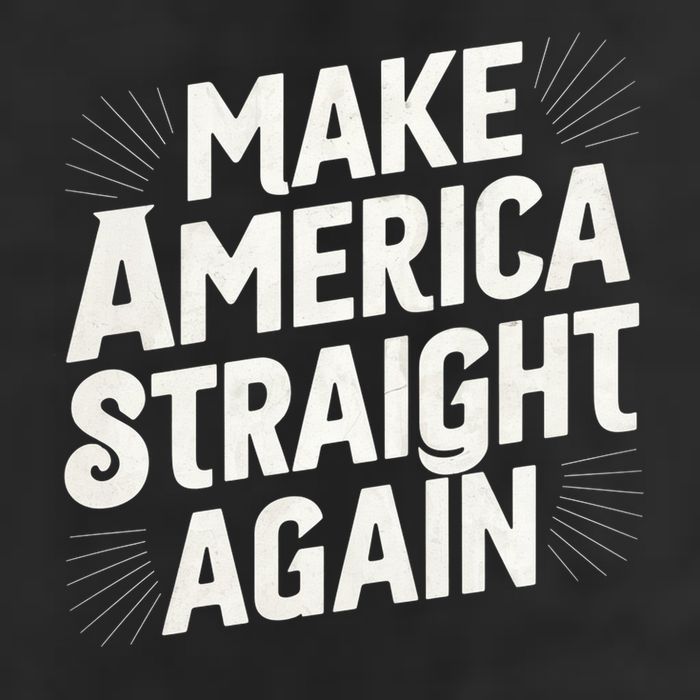 Make America Straight Again 11oz C Handle Ceramic Mug