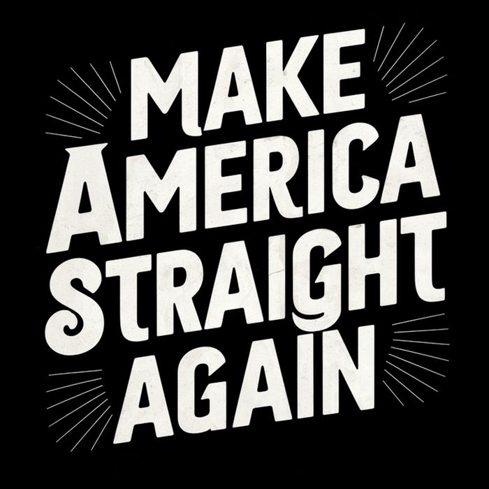Make America Straight Again Toddler T-Shirt