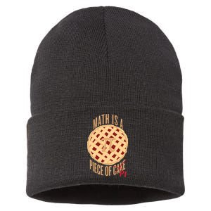 Math Is A Piece Of Cake Pi Day Sustainable Knit Beanie