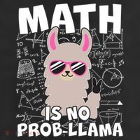 Math Is No Prob-llama Adult Drive Performance Visor