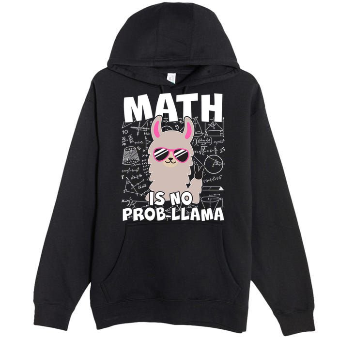 Math Is No Prob-llama Premium Pullover Hoodie