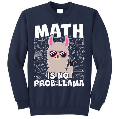 Math Is No Prob-llama Sweatshirt