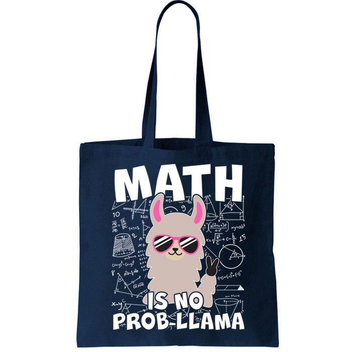 Math Is No Prob-llama Bag