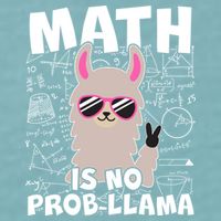 Math Is No Prob-llama Sueded Cloud Jersey T-Shirt