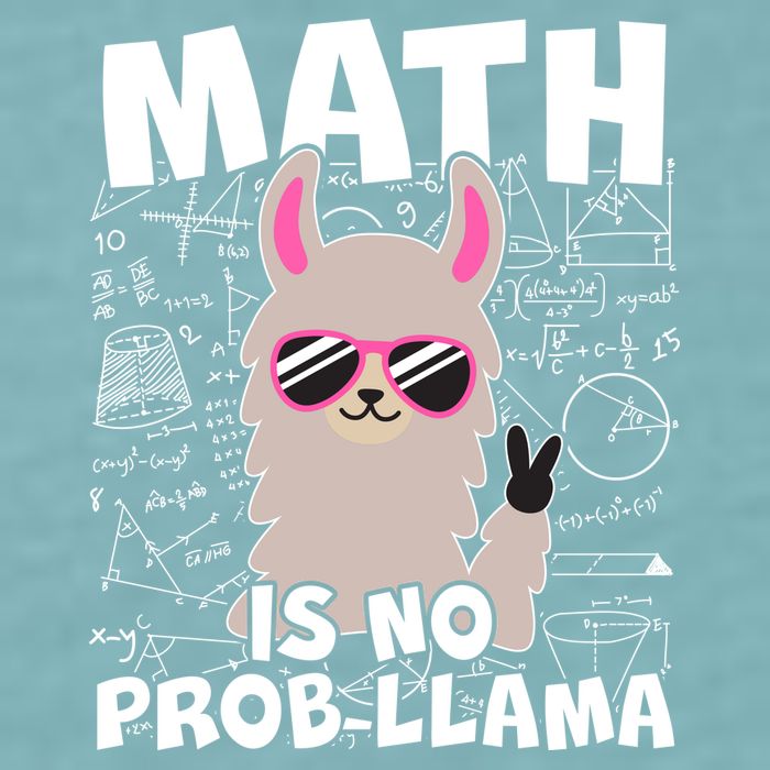 Math Is No Prob-llama Sueded Cloud Jersey T-Shirt